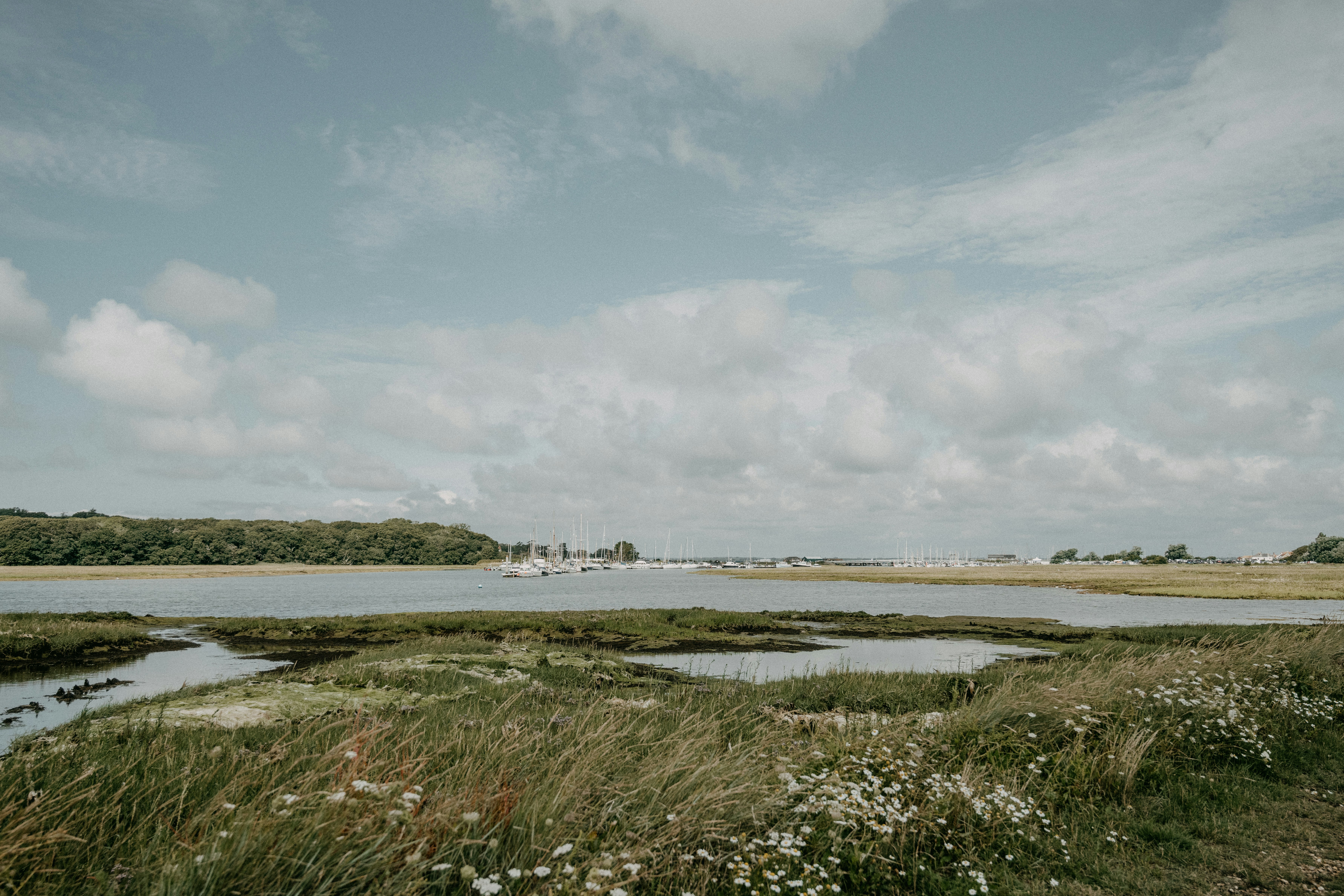 green grass field near body of water under white clouds during daytime